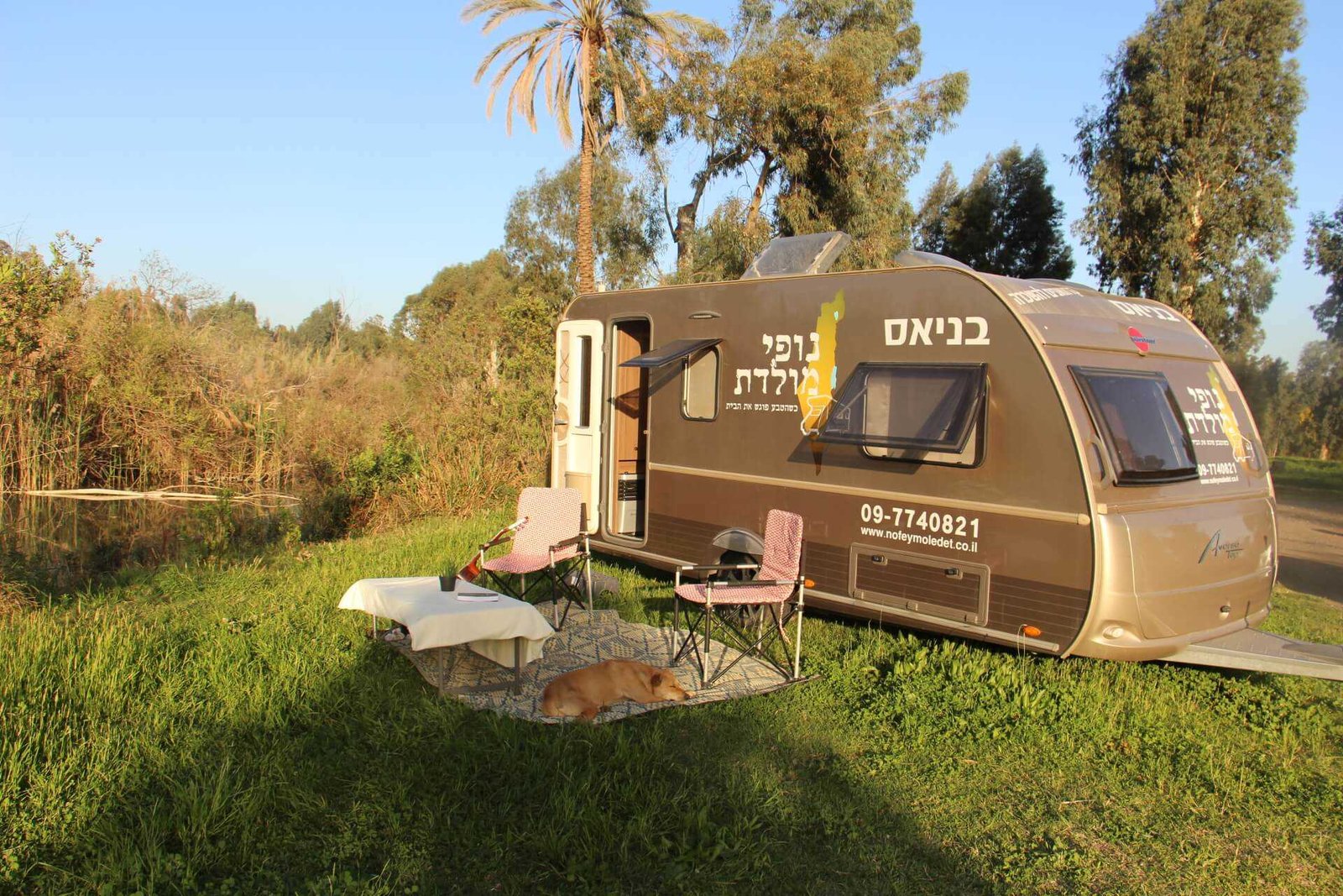 קרוואן בטבע עם כלב