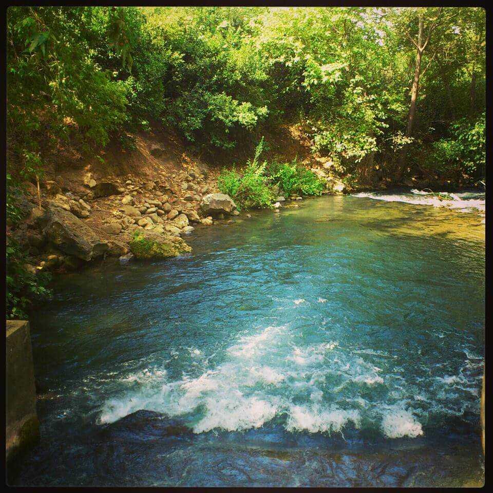 חניון הפינה של יובל